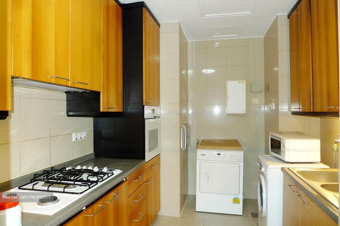 Valley Park (D10), Condominium #482032641